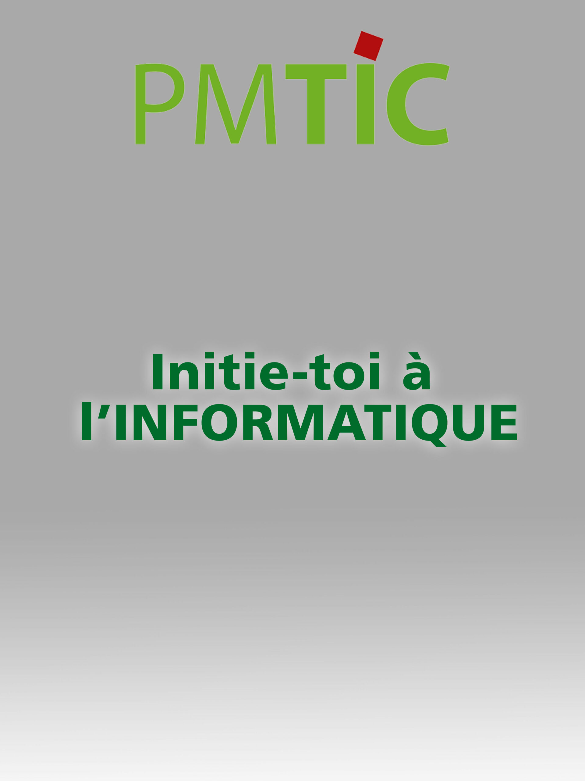 Formation PMTIC